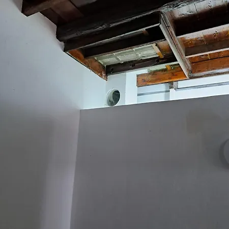 El Cachorro