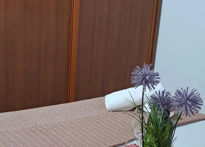 El Cachorro Apartamento